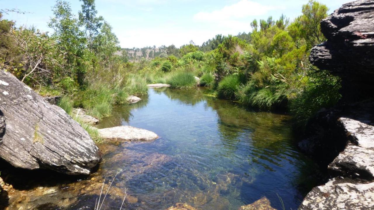 דירות ויאנה דו קסטלו Casa De Lencastre מראה חיצוני תמונה